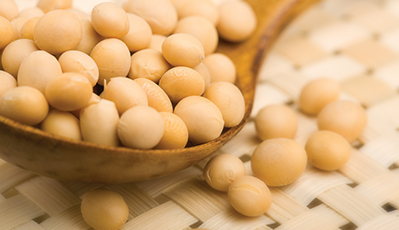 �󶹾�տ�ӹ�