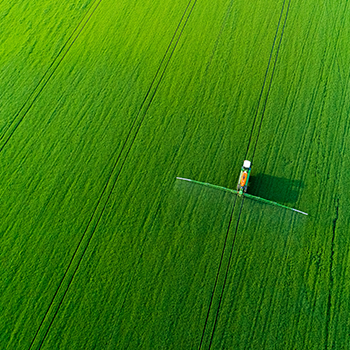 bevictorΰ�¹���-Τ�¹ٷ���վ