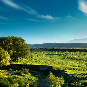 bevictorΰ�¹���-Τ�¹ٷ���վ