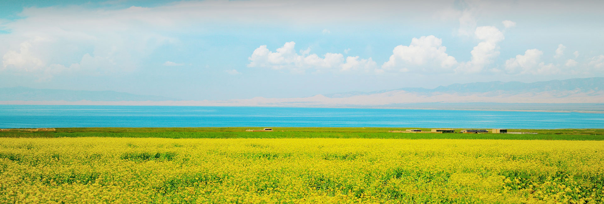 bevictorΰ�¹���-Τ�¹ٷ���վ