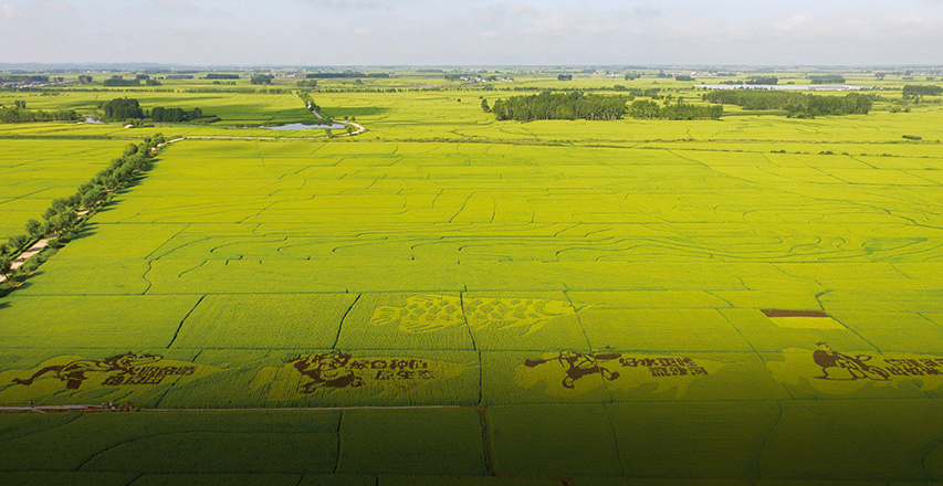 bevictorΰ�¹���-Τ�¹ٷ���վ