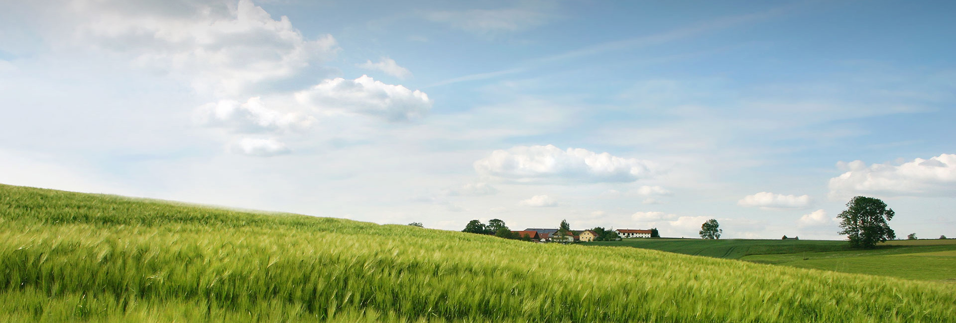 bevictorΰ�¹���-Τ�¹ٷ���վ