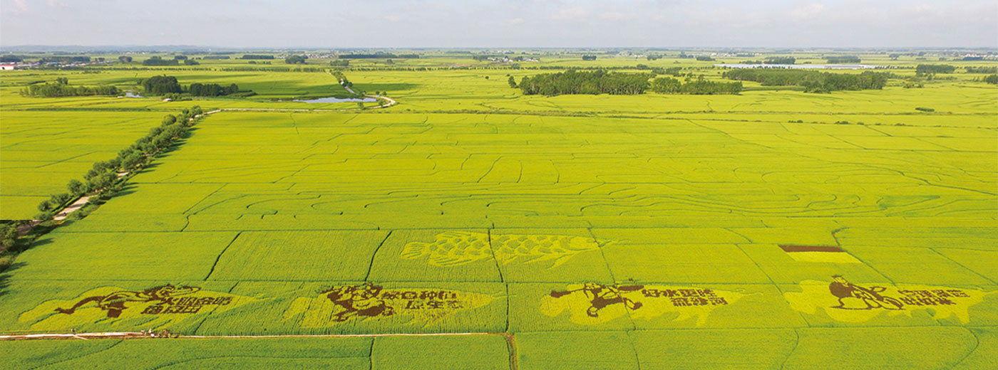 bevictorΰ�¹���-Τ�¹ٷ���վ