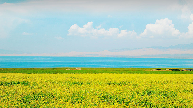 bevictorΰ�¹���-Τ�¹ٷ���վ