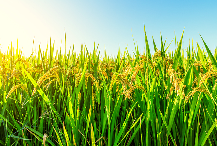 bevictorΰ�¹���-Τ�¹ٷ���վ