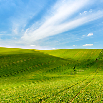 bevictorΰ�¹���-Τ�¹ٷ���վ