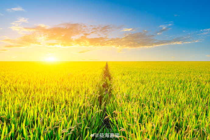 bevictorΰ�¹���-Τ�¹ٷ���վ