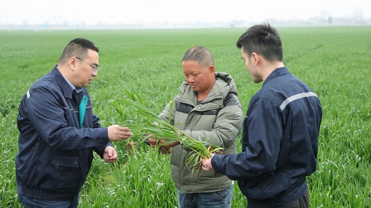 ���³�������һ�������°���®���������ˡ����ټ���